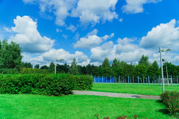 summer green park without people with blue sky and white clouds