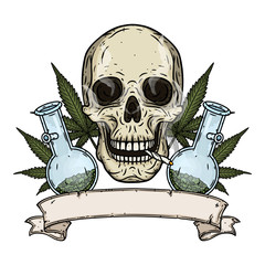 Skull. Skull with bong and marijuana leaves. Rastaman skull with cannabis leafs and spliff.