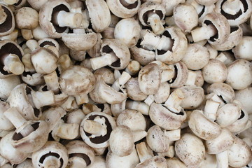 fresh mushrooms background