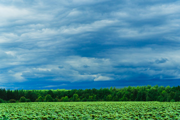 Obraz premium green field with skyline and dark stormy sky