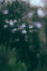 Autumn Abstract Backdrop. Rain drop on the glass window. The green background without focus. Rain. Vegetation outside the window. Blur, selective focus. Can be used for display or montage your