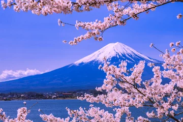 Tuinposter 富士山と桜 © かめさん