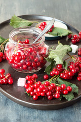 Fresh red berries of viburnum, a glass jar and small pieces of sugar on an oval ceramic tray.