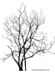 Dead Tree without Leaves Vector Illustration Sketched, EPS 10.