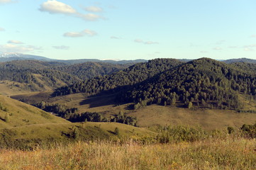   Russia.Western Siberia. The foothills of the Altai mountains