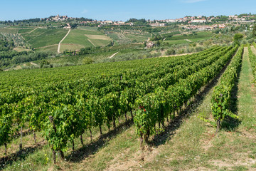 Fototapeta na wymiar The beautiful Tuscan countryside in the Chianti area near the village of Panzano, Florence, Italy