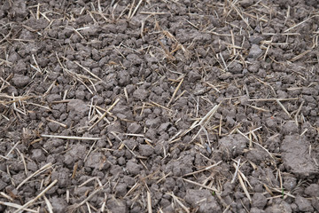 Gefl&uuml;gte Erde nach der Ernte