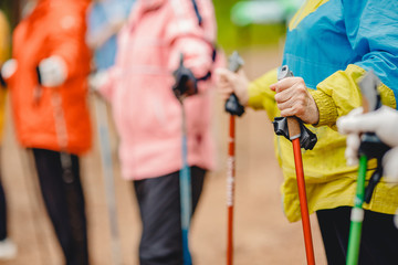 Older women are engaged in Nordic walking, close-up hands with sticks. Sports concept in park - obrazy, fototapety, plakaty