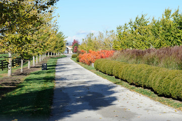 Fall landscape