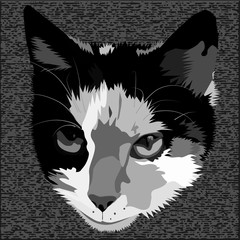 Head of a cat in gray-black tones on a textural background. Cat pet.