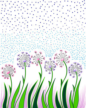 Spring composition of flowering plants. Summer flower arrangement. Multi-colored dandelions with green leaves. Decorative blooming onions - Alaria.