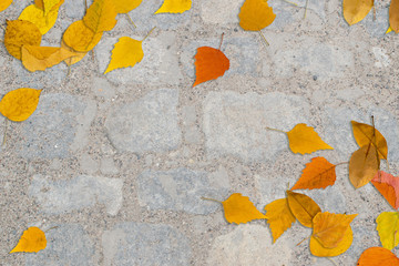 Fototapeta na wymiar Autumn Yellow Leaves on Gray Old Stone Pavement Top View