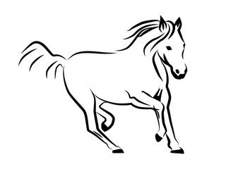 Horse drawn by lines. The horse is running. Competitive image of a galloping horse. Black lines on white background.