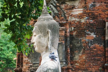 ワット・マハータートの仏像の横姿