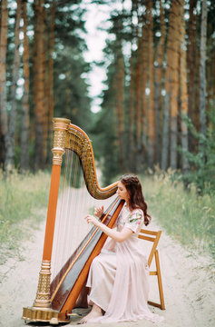Woman harpist sits at forest and plays harp against a background of pines.