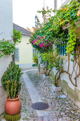 Fototapeta na wymiar Narrow cobbled street with flower pots between whitewashed houses