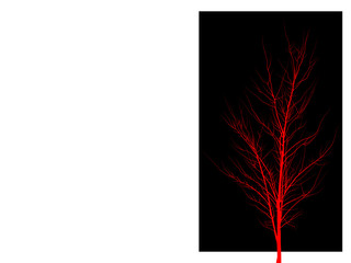 Red tree in a black rectangle on a white background. Young tree with branches without leaves.