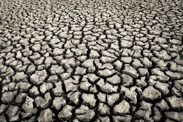 Cracked dry soil, Patagonia , Argentina