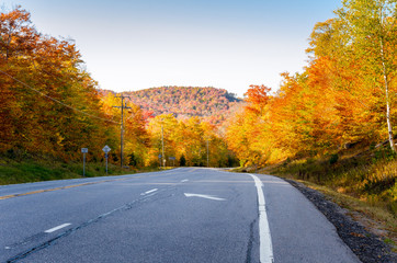 Country road through colourful autumnal woods on a sunny day. A forested hill is visible in background.