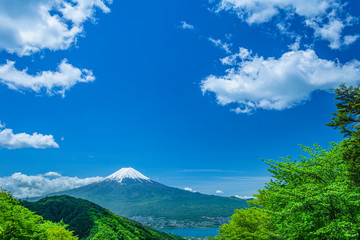 富士山と雲と新緑の木立