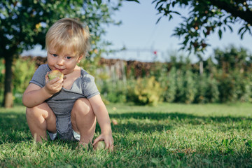 cute little boy eating apple outdoor