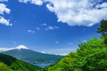 富士山と雲と新緑の木立