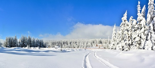 Fototapeta na wymiar winter landscape on the mountain