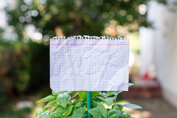 Plain empty paper attached to a stick and placed in the green leafy plants