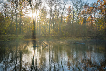 Fluss mit Nebel am Morgen Herbst