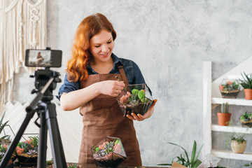 Florist video blog. Woman using smartphone camera to stream home gardening online tutorial, planting succulents.