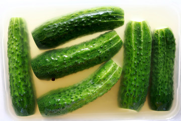 Pickled cucumbers in container