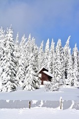 cottage near forest in winter