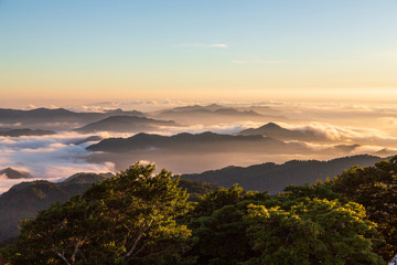 夜明けの大台ケ原山から朝日と雲海