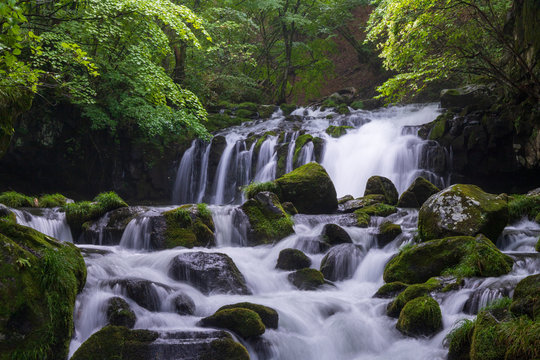 900 Best 蓼科高原 Images Stock Photos Vectors Adobe Stock