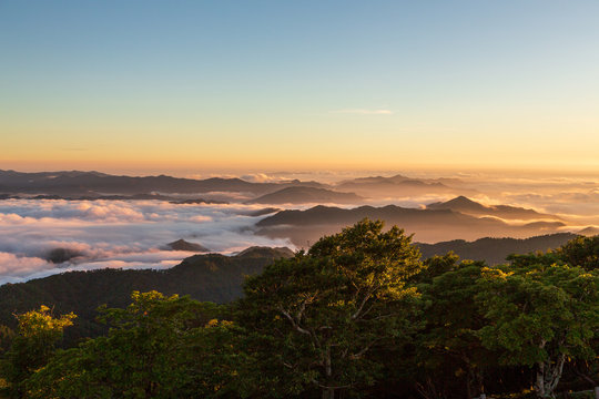 夜明けの大台ケ原山から朝日と雲海