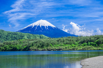 Obraz premium 富士山と新緑の西湖