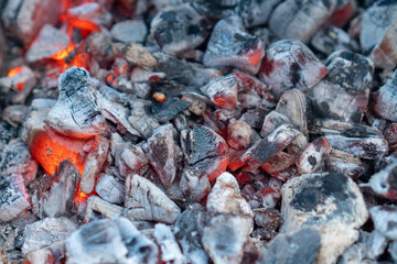 Details of charcoal for barbecue at picnic.