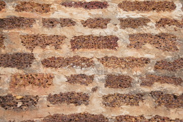 Stone wall background Sukhothai Old Town