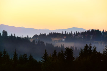 Mountains covered with huge spruce trees  and houses on the slopes at sunset.