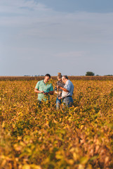 Group of farmers standing in a field examining soybean crop before harvesting.