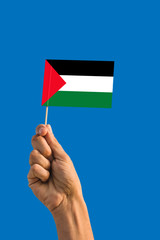 Fototapeta na wymiar Woman hand holding Palestine flag with stick, waving flag on deep blue sky. National theme, deep blue sky.