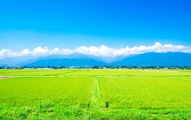 Foto op Plexiglas Landelijk landschap van Shinshu Azumino in de zomer © oben901