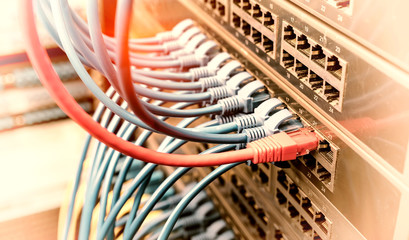 network cables connected to black patch panel in data server room