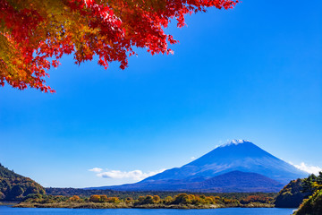 紅葉のもみじと富士山