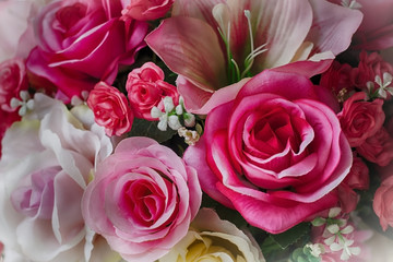 Blurred of Rose flowers blooming. in the pastel color style for background.