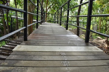 Obraz premium wooden bridge in forest