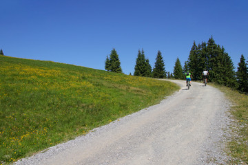 Fototapeta na wymiar Biking in Kaiser Mountains (Scheffau, Wilder Kaiser), Tyrol - Austria