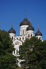 Fototapeta na wymiar Cathédrale Alexandre Nevski, Tallinn, Estonie