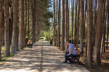 thinking men sitting in the park