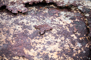 Old iron sheet with rust background.